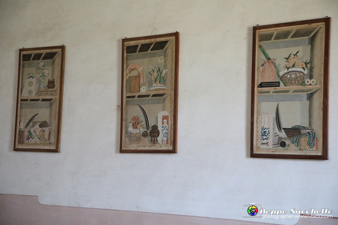 VBS_6602 - Villa Pisani - Stra (Venezia).jpg - SALA DELLA MUSICA  AI centro della sala un fortepiano, prodotto dalla manifattura Kramer Burger di Vienna. Alle pareti decorate da cornici a motivi rocaille violetti, ornati da tralci vegetali, sono disposti una serie acquerelli del '700 che riproducono fiori e piante, tratti dai repertori di erbari dell'epoca. 